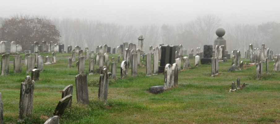 RosmtCem view