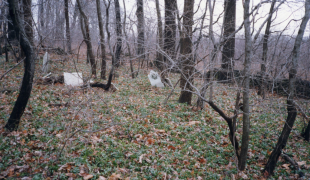 The Sutton Family Burying Ground