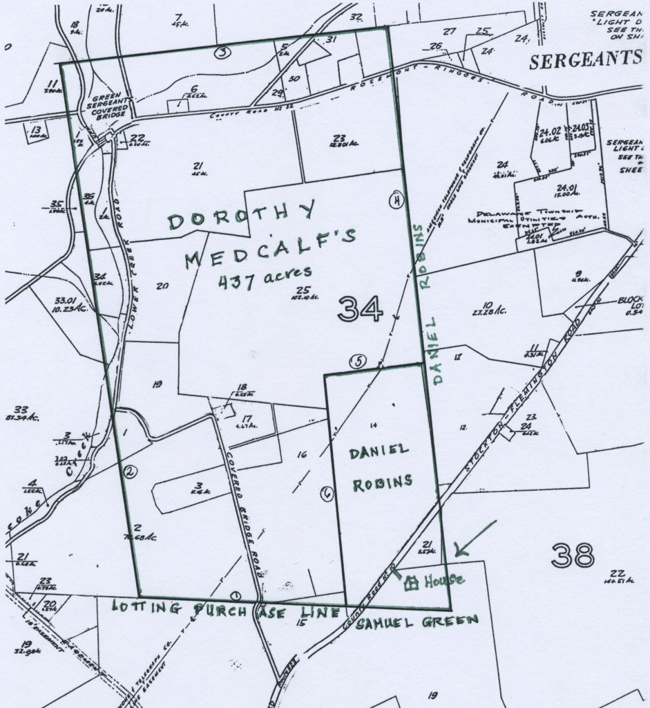 Detail of tax map with proprietary tract superimposed