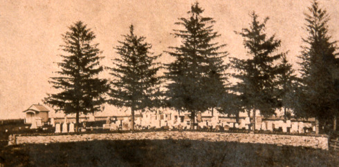 early view of Barber Cemetery in Delaware Township