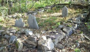 The Trout Cemetery, photograph by Bob and Leslie Leith