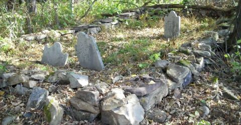 The Trout Cemetery, photograph by Bob and Leslie Leith
