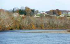 MtAmwell