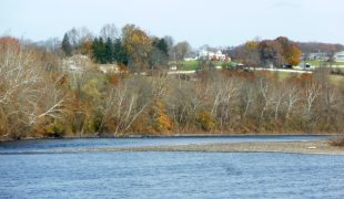 MtAmwell