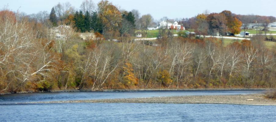 MtAmwell