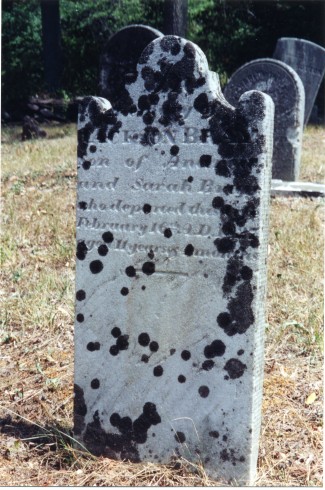 Gravestone of Jackson Bray