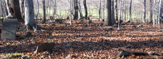 View of the Kitchen Cemetery near Sand Brook