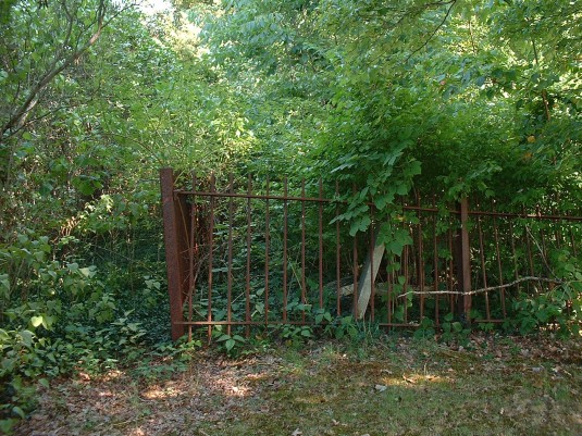 Slacktown Cemetery, before it was cleaned up by the Mt. Amwell Project