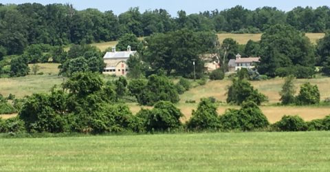 Snyder Farm