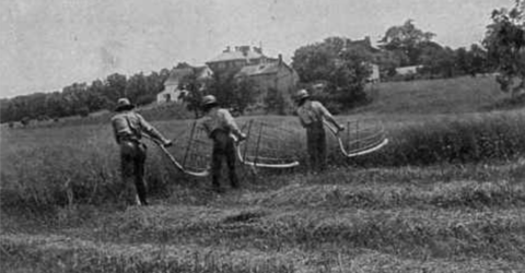 Hay Harvest