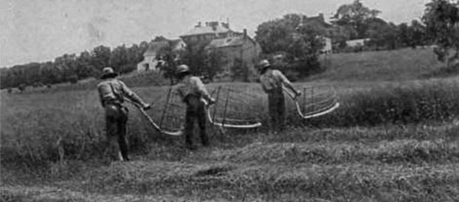 Hay Harvest