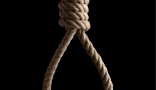 noose