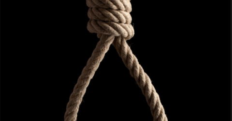 noose