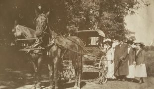 horses-carriage copy